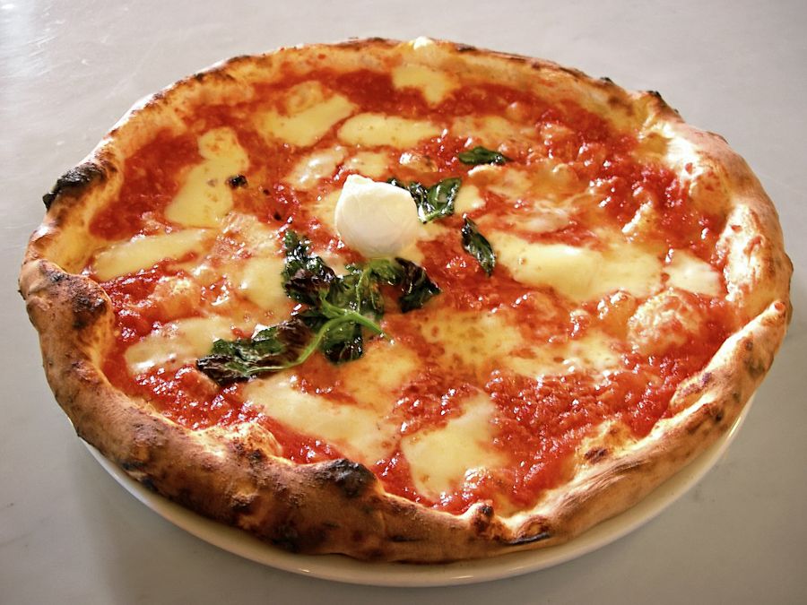 Neapolitan margherita pizza